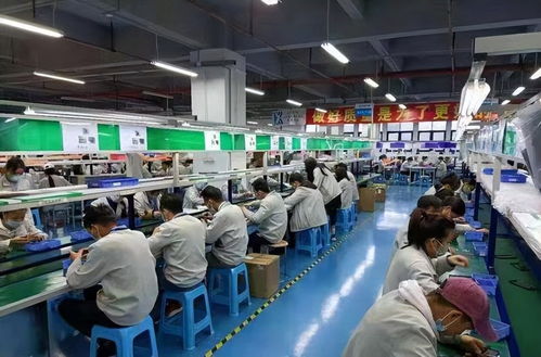 從清華學(xué)子到卷煙廠操作工 專業(yè)與職業(yè)選擇的多元探索