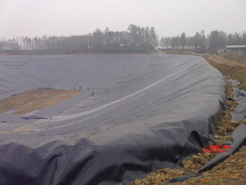 復合防水板生產廠家 為高速公路與隧道工程筑牢防水屏障